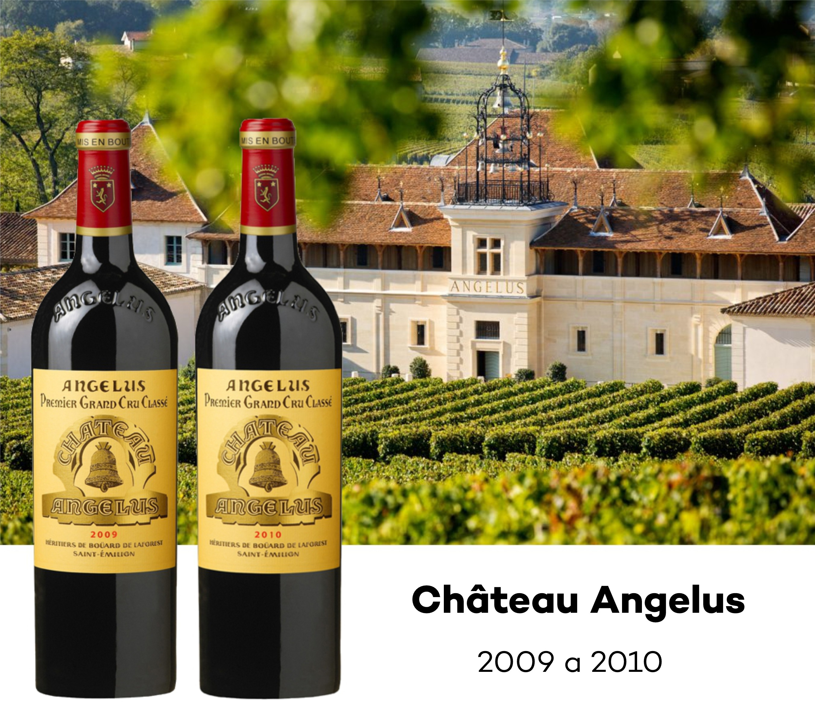 Chateau Angelus Bordeaux FEST